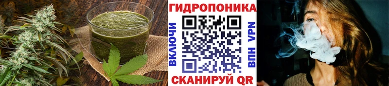 Canna-Cookies конопля  купить наркотики сайты  Курганинск 