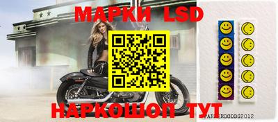 ПСИЛОЦИБИНОВЫЕ ГРИБЫ Кингисепп