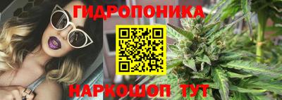 ПСИЛОЦИБИНОВЫЕ ГРИБЫ Кингисепп
