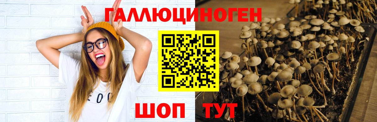 Псилоцибиновые грибы мицелий  Галлюциногенные грибы прущие грибы  Курганинск  Вход с VPN 